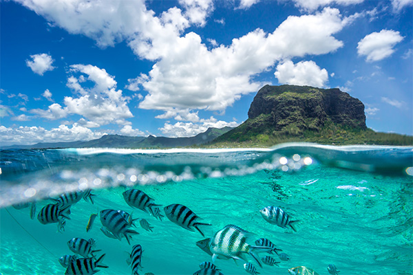 Mauritius Natural Paradise